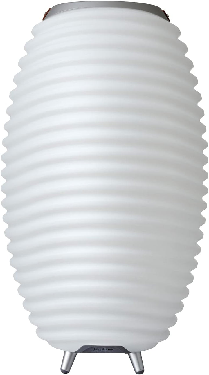 Kooduu Synergy 65 Tragbare Lautsprecherlampe mit Weinkühler - Dimmbares LED-Licht, drahtloser Blueto