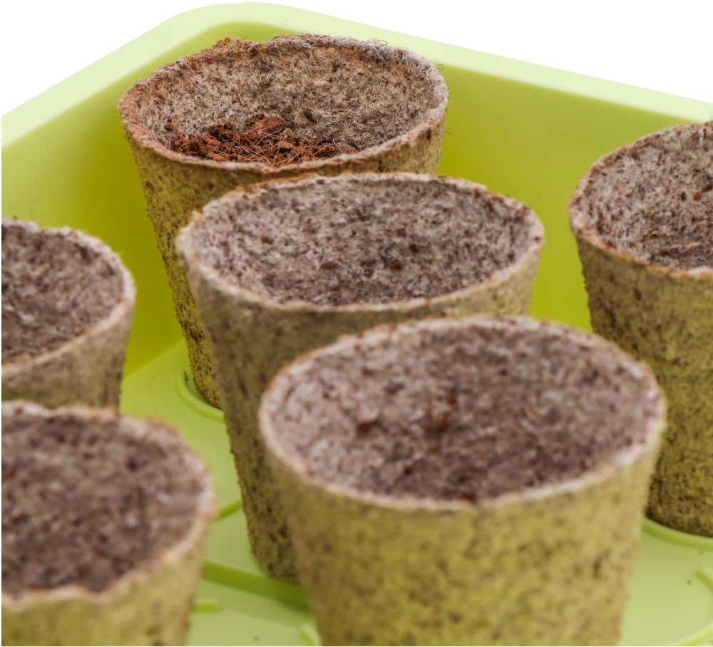Siena Garden Zimmergewächshaus Uni-Grow, 38x24x18cm pastellgrün Normal, Normal