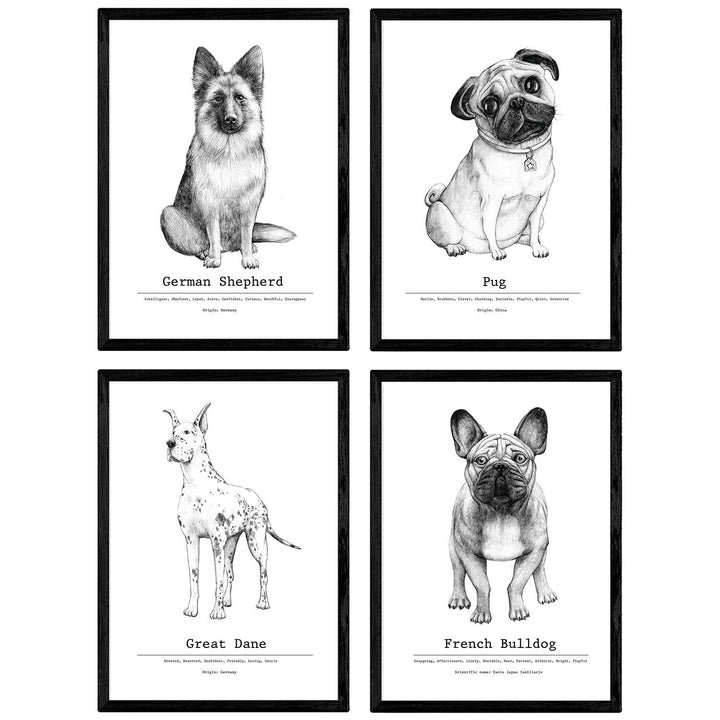 Nacnic Packung dePerros dekorative Poster descripcion.Láminas Hunderasse. A4-Format A4 Hundezucht-be