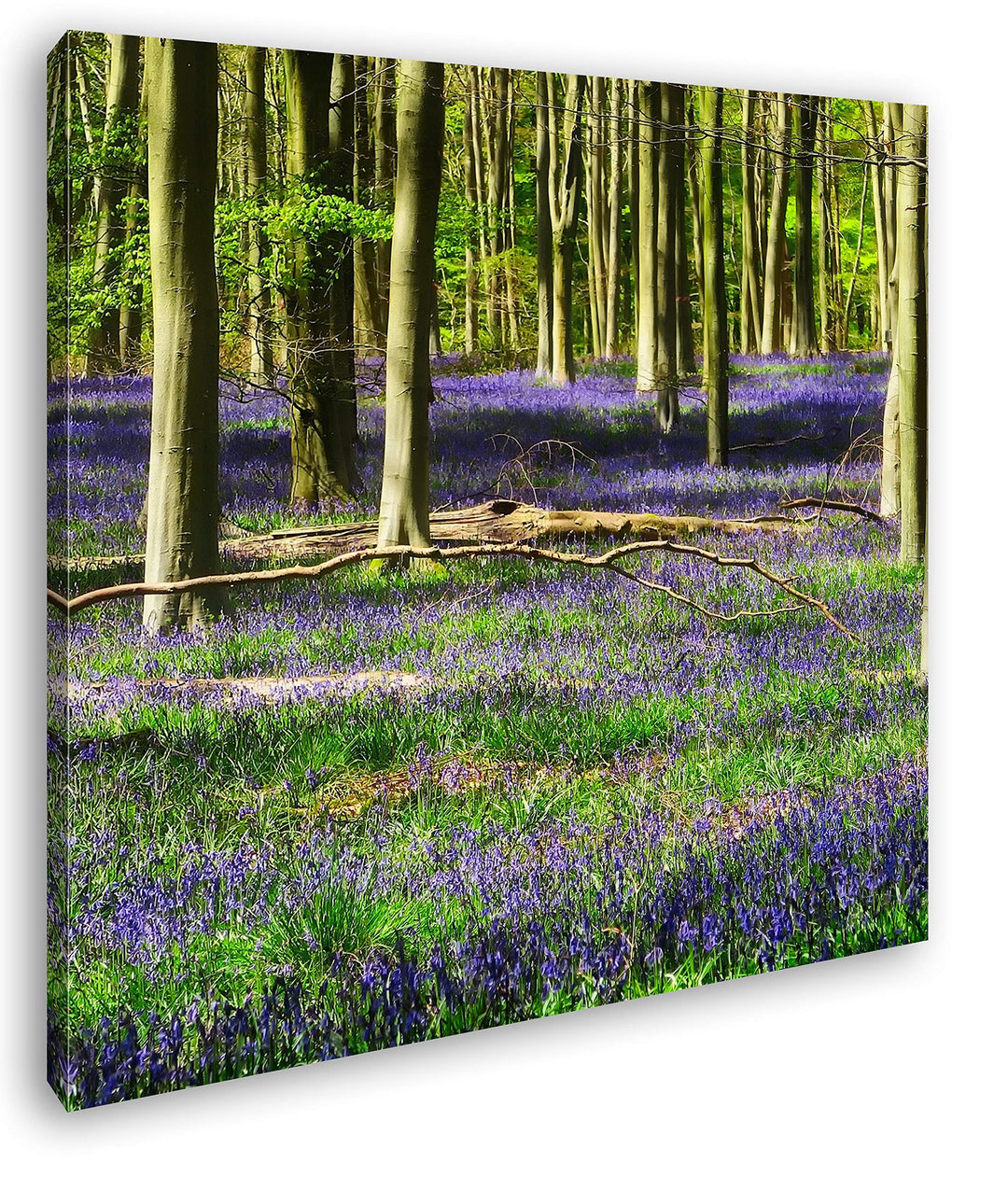 deyoli Lavendel Blumen im Wald Format: 70x70 als Leinwand, Motiv fertig gerahmt auf Echtholzrahmen,