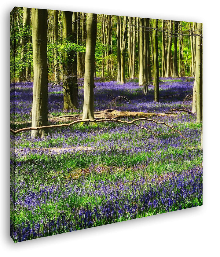 deyoli Lavendel Blumen im Wald Format: 70x70 als Leinwand, Motiv fertig gerahmt auf Echtholzrahmen,