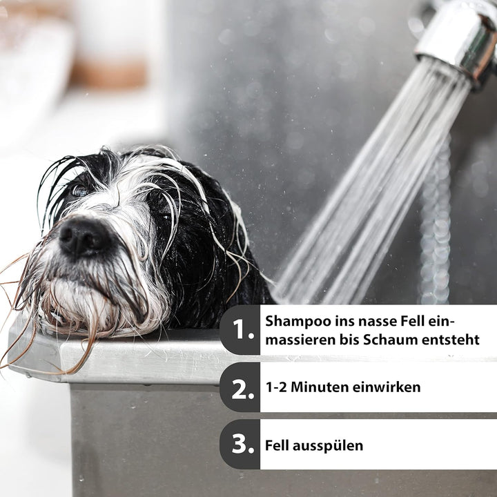 Jack & the Tub Hundeshampoo 500ml Caribbean Breeze - Black Edition, Hunde Shampoo mit Conditioner un