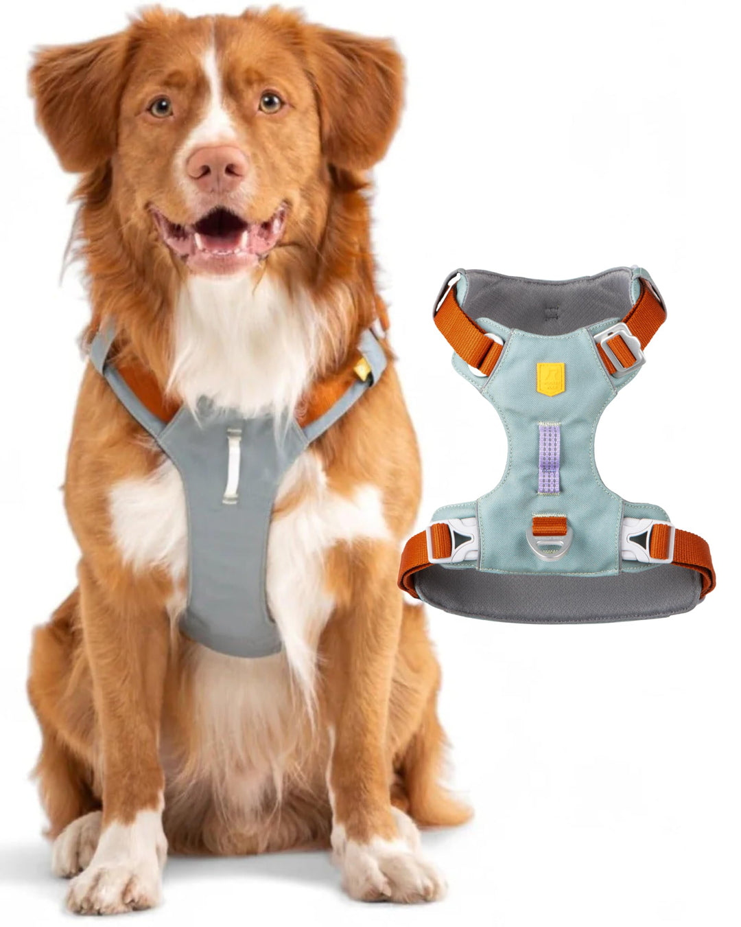 Woolly Wolf Alpha 360 Dog Harness L Gletschergrün - Hundegeschirr für grosse Hunde aus 100% recycelt