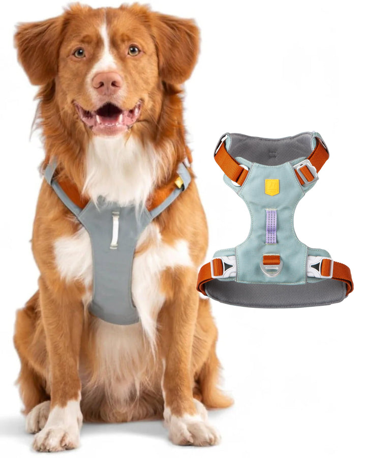 Woolly Wolf Alpha 360 Dog Harness L Gletschergrün - Hundegeschirr für grosse Hunde aus 100% recycelt