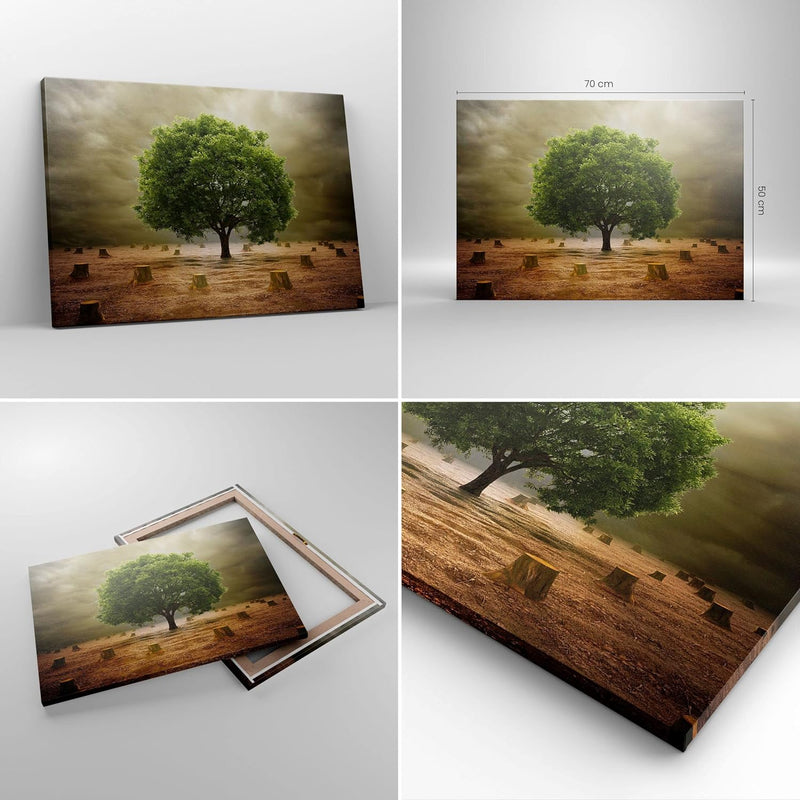 Bilder auf Leinwand Baum Feld Umwelt Leinwandbild mit Rahmen 70x50cm Wandbilder Dekoration Wohnzimme