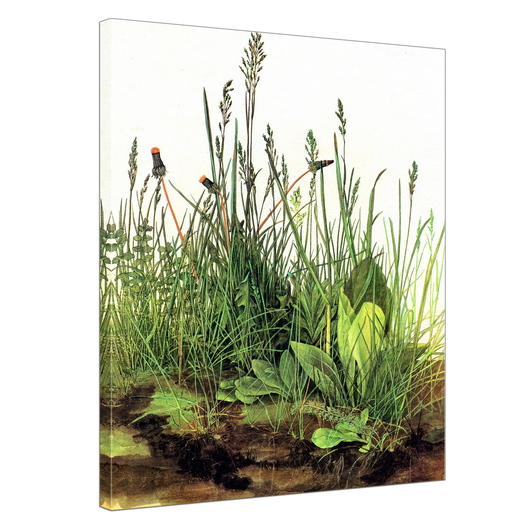 Bilderdepot24 Bild auf Leinwand | Albrecht Dürer Das grosse Rasenstück in 50x60 cm als Wandbild | Wa