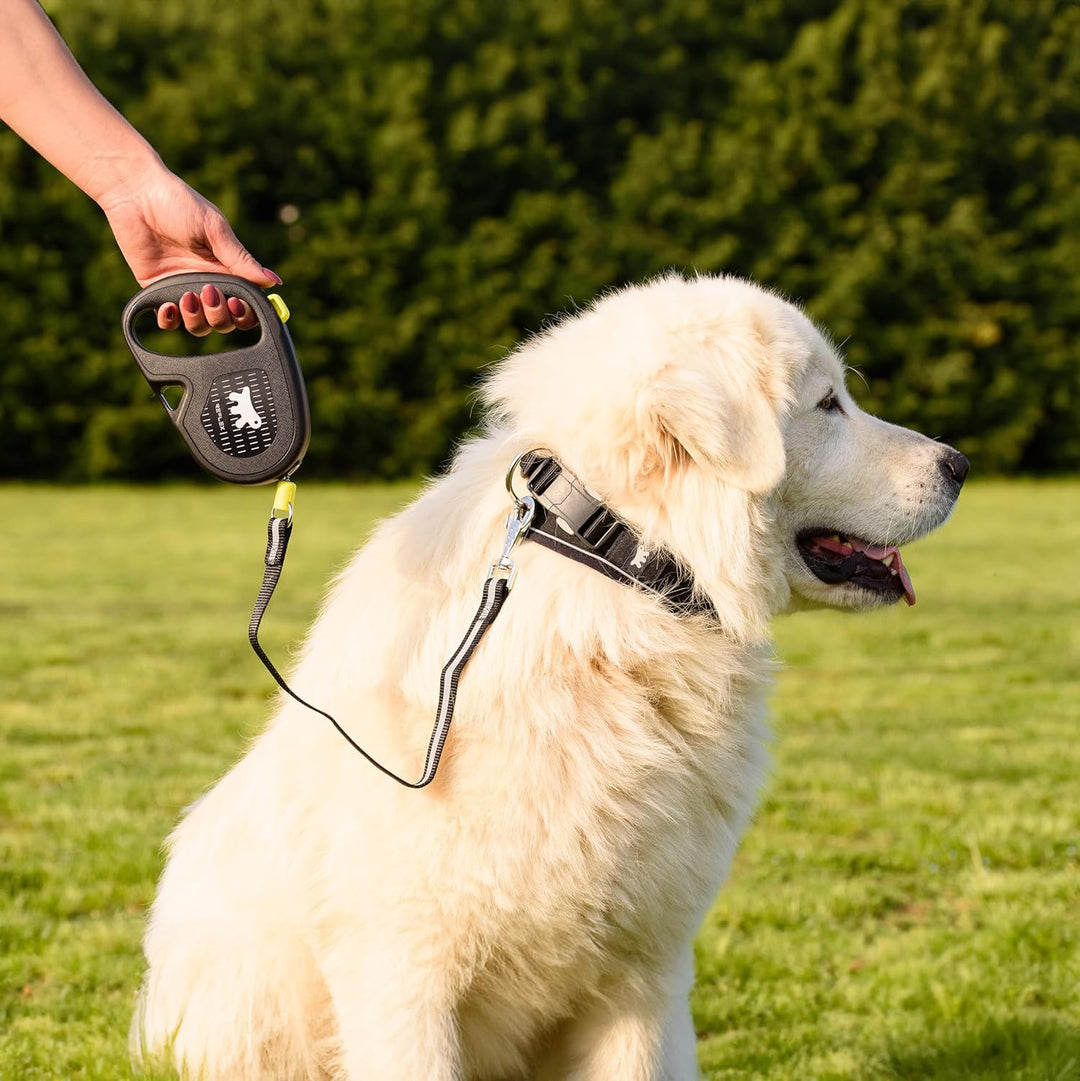 Ferplast Reflektierende Hundeleine Flippy ONE Reflex, Rollleine grosse Hunde bis 35 kg. Ausziehbare
