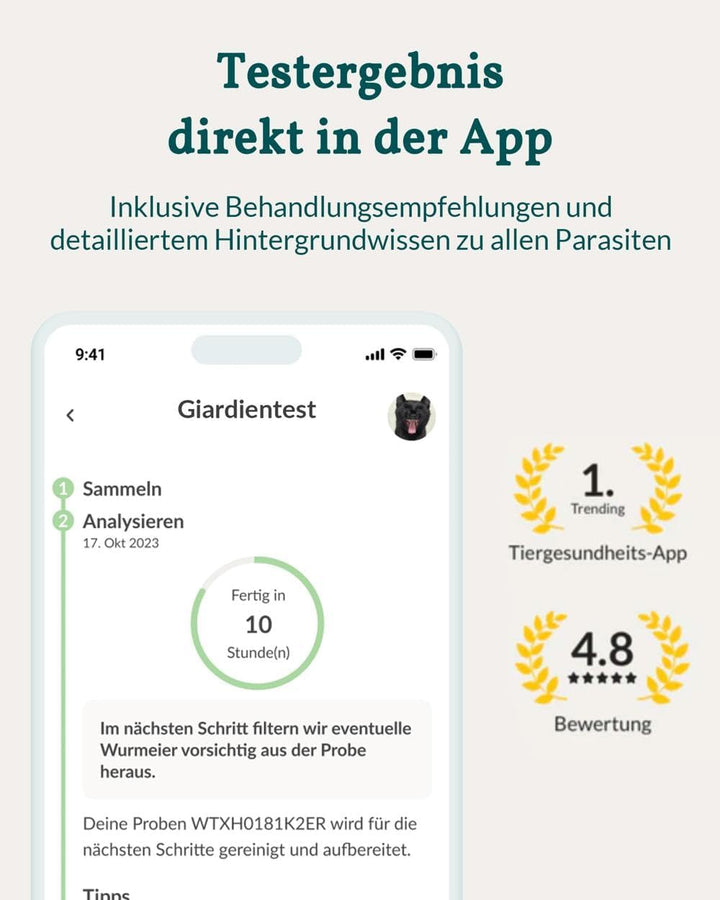 vetevo Giardientest Katze, Test auf Giardien Katze, bei Durchfall, Gewichtsverlust, Erbrechen & Appe