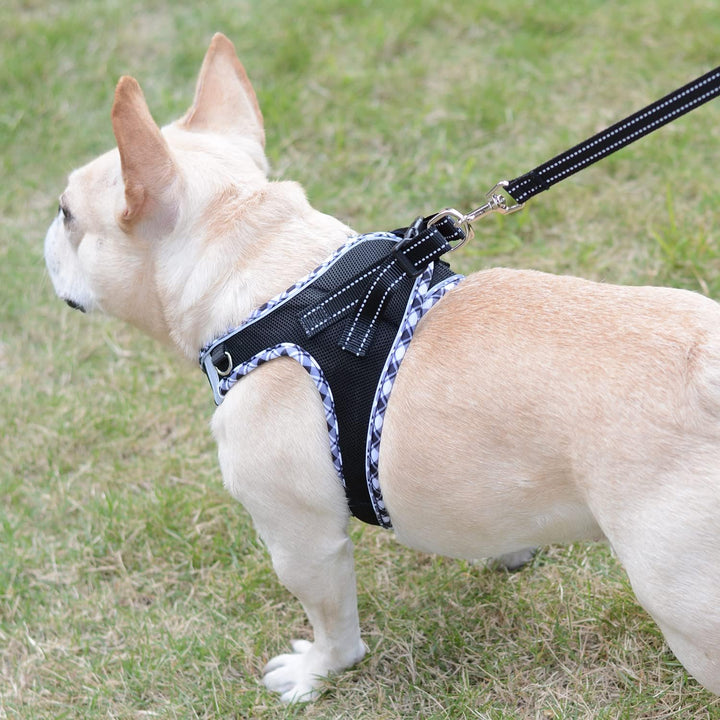 Hundegeschirr Kleine Hunde mit Leine, Step-in Geschirr Reflektierend Atmungsaktiv Brustgeschirr Anti