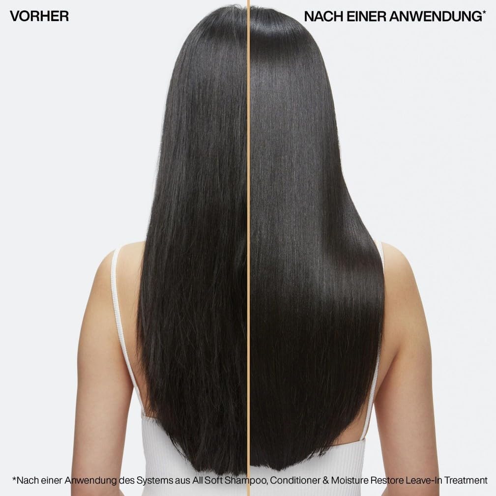 Redken Haarshampoo für trockenes und brüchiges Haar, Belebt und hydratisiert, Mit Omega-6 und Argan-