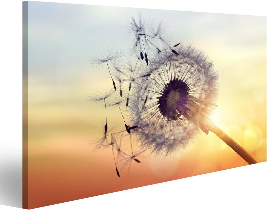 islandburner Bild auf Leinwand Löwenzahn Silhouette gegen Sonnenuntergang Samen Blowing Wind Wandbil