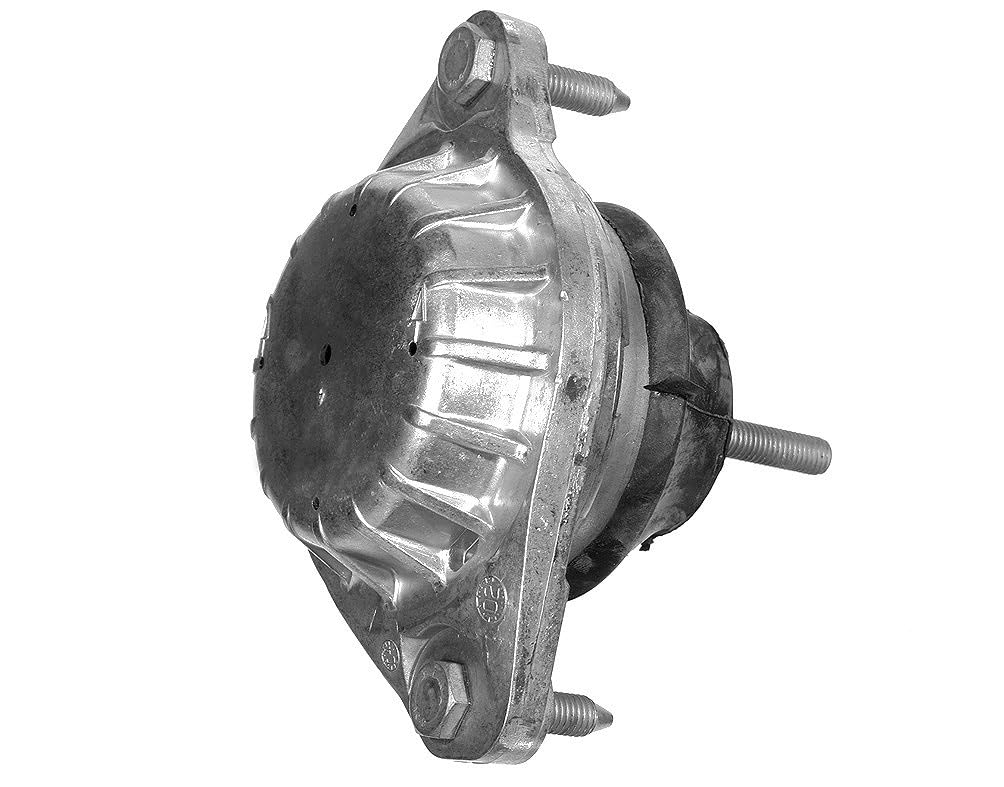 Meyle 100 199 0046 Lagerung, Motor