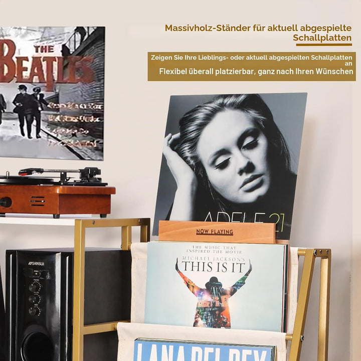 HYCFYJR Plattenspieler Ständer, Schallplatten Aufbewahrung mit 3-stufiger Vinyl Halter, Schallplatte