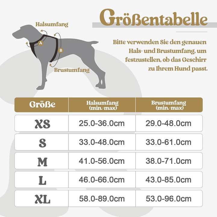 rabbitgoo Hundegeschirr Kleine Hunde, Anti Zug Geschirr mit Kontrolle, No Pull Verstellbar Hundegesc