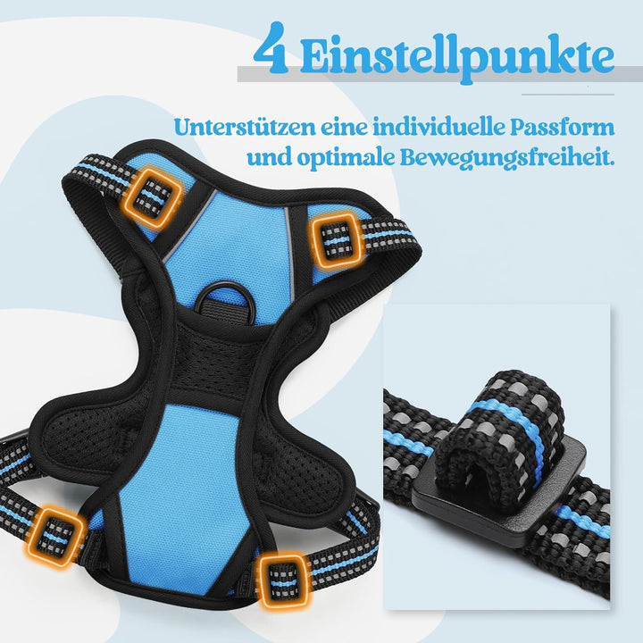 rabbitgoo Hundegeschirr Kleine Hunde, Anti Zug Geschirr mit Kontrolle, No Pull Verstellbar Hundegesc