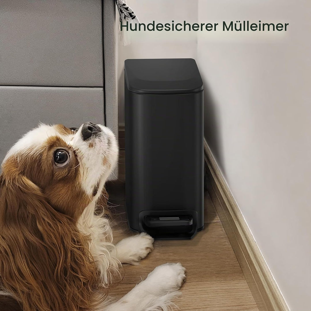 Cesun Kleiner Mülleimer mit Deckel 6 Liter Edelstahl Mülleimer für Küche, Bad, Home Office (matt sch