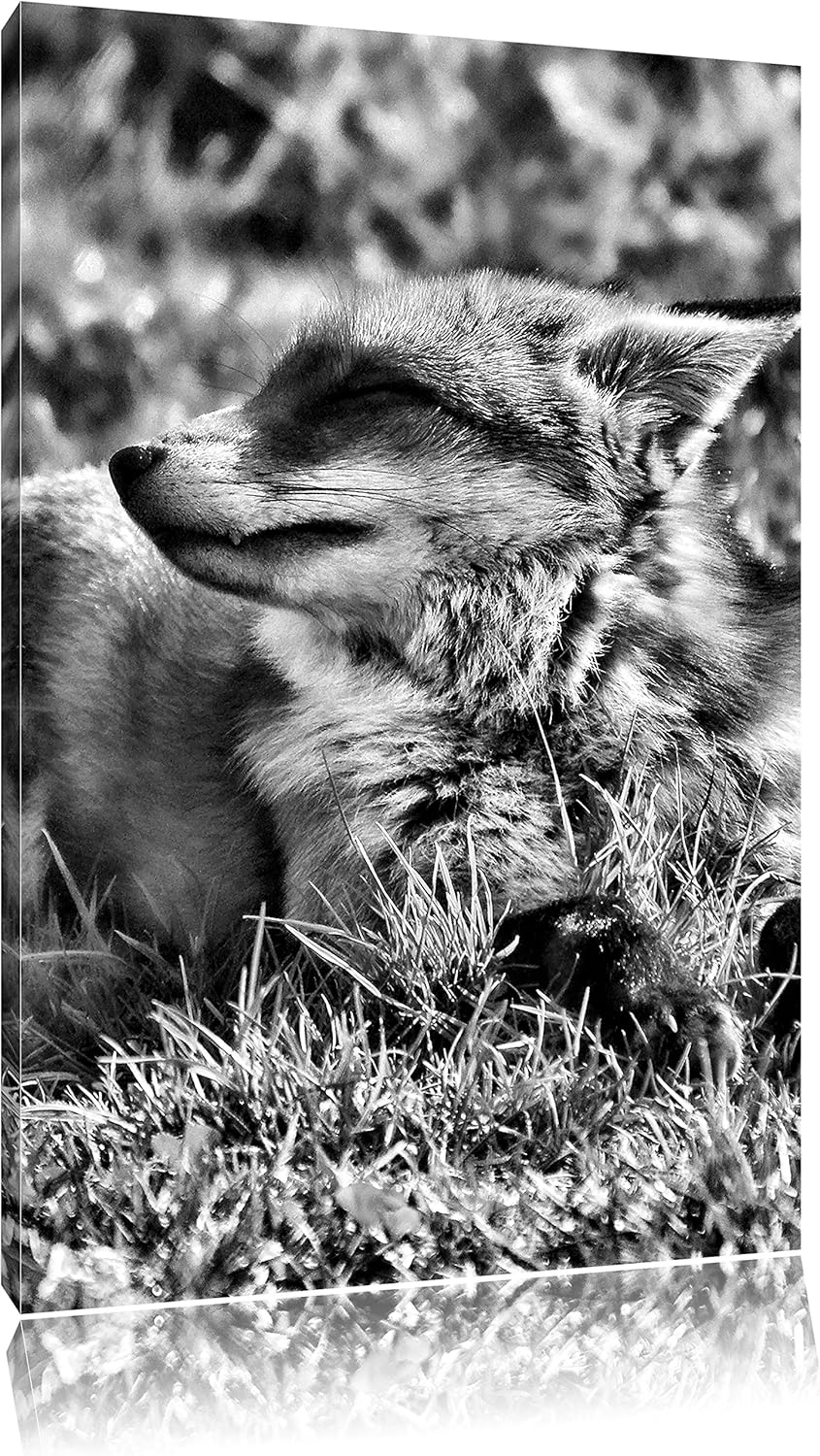 Monocrome, Fuchs im Gras, Format: 100x70 auf Leinwand, XXL riesige Bilder fertig gerahmt mit Keilrah