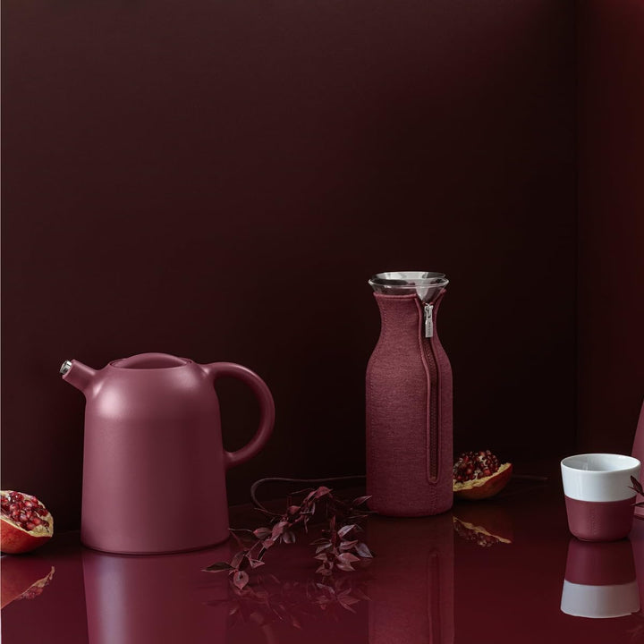 EVA SOLO – Kühlschrankkaraffe | skandinavisches Design | 1 Liter - 1.0l| Borrosilikat-Glas, Edelstah