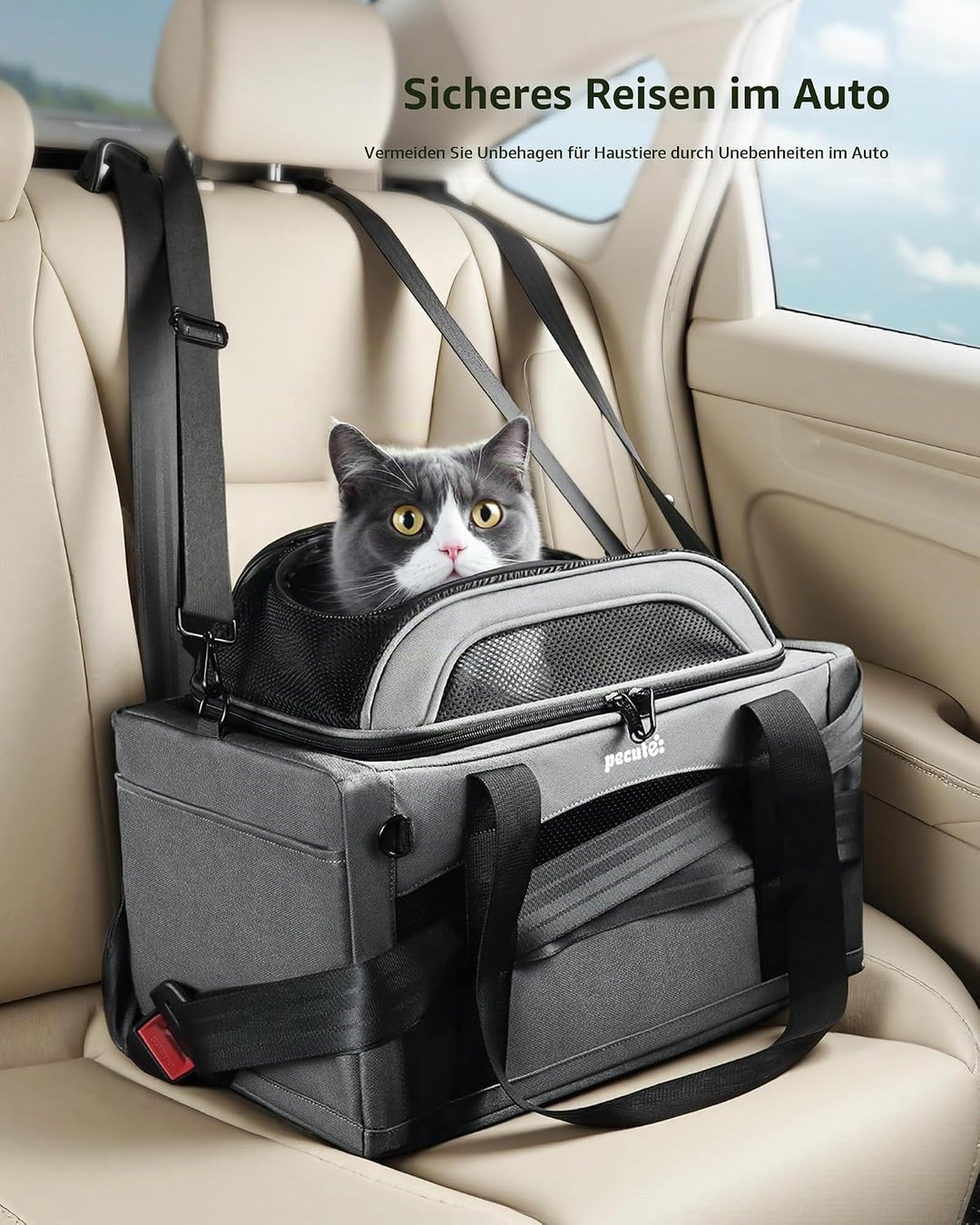 pecute Katzentasche Flugzeug Transporttasche Stabiler Halt Haustier Tragetasche, Transportbox Katze