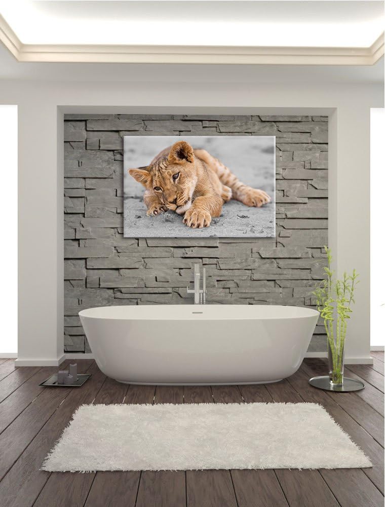 süsses Löwenbaby spielt schwarz/weiss Format: 100x70 auf Leinwand, XXL riesige Bilder fertig gerahmt