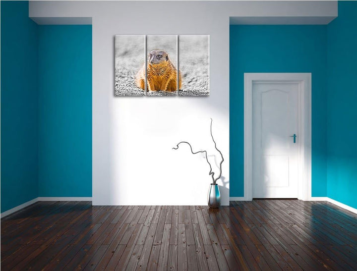 schüchternes Erdmännchen schwarz/weiss Deluxe 3-Teiler Leinwandbild 120x80 Bild auf Leinwand, XXL ri