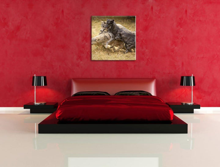 Tobendes Wolfsrudel, Format: 70x70 auf Leinwand, XXL riesige Bilder fertig gerahmt mit Keilrahmen, K