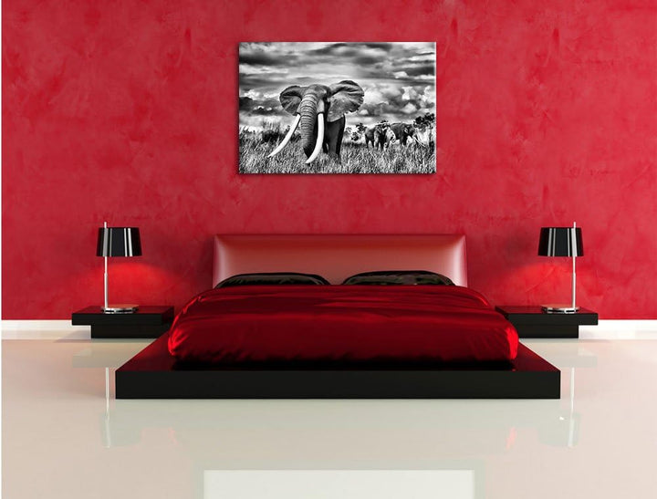 Pixxprint Stolzer Elefant in Savanne als Leinwandbild/Grösse: 100x70 / Wandbild/Kunstdruck/fertig be