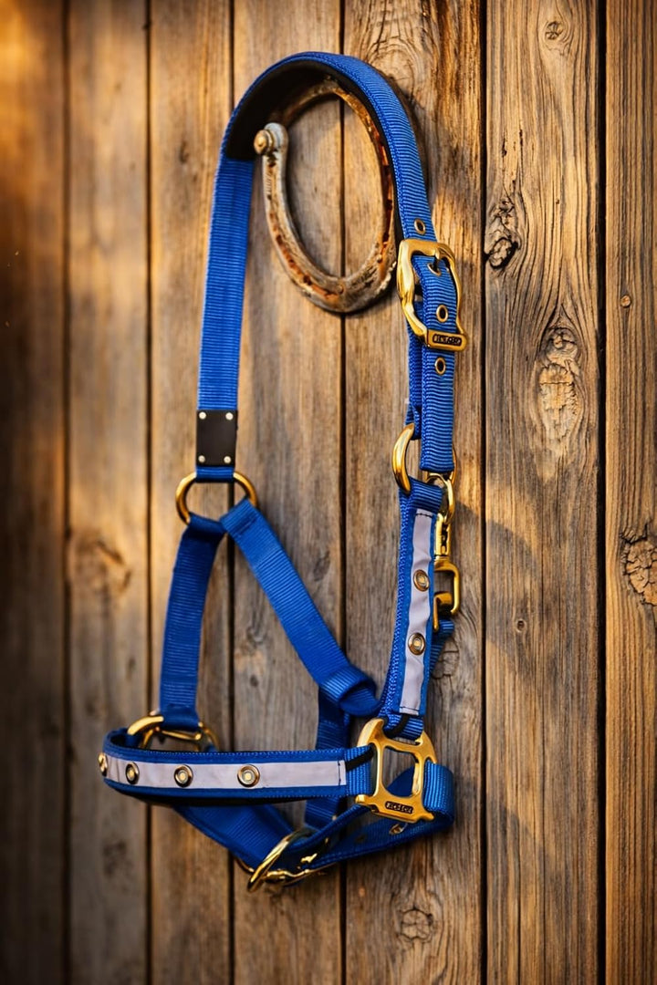 Reinecke Equestrian Premium Leuchthalfter Reflexhalfter Sicherheitshalfter Stallhalfter Weidehalfter