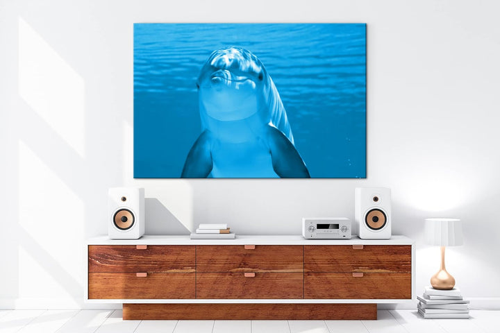 deyoli entzückender Delphin Format 80x60 Effekt: Monocrome Blau als Leinwandbild, Motiv fertig gerah