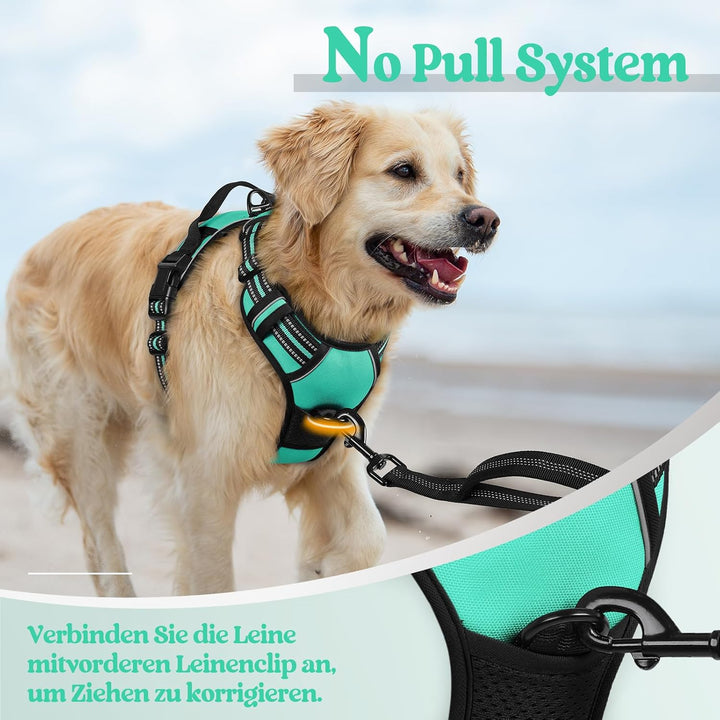 rabbitgoo Hundegeschirr Mittelgrosse Hunde Anti Zug Geschirr Hund mit Kontrolle No Pull Verstellbar