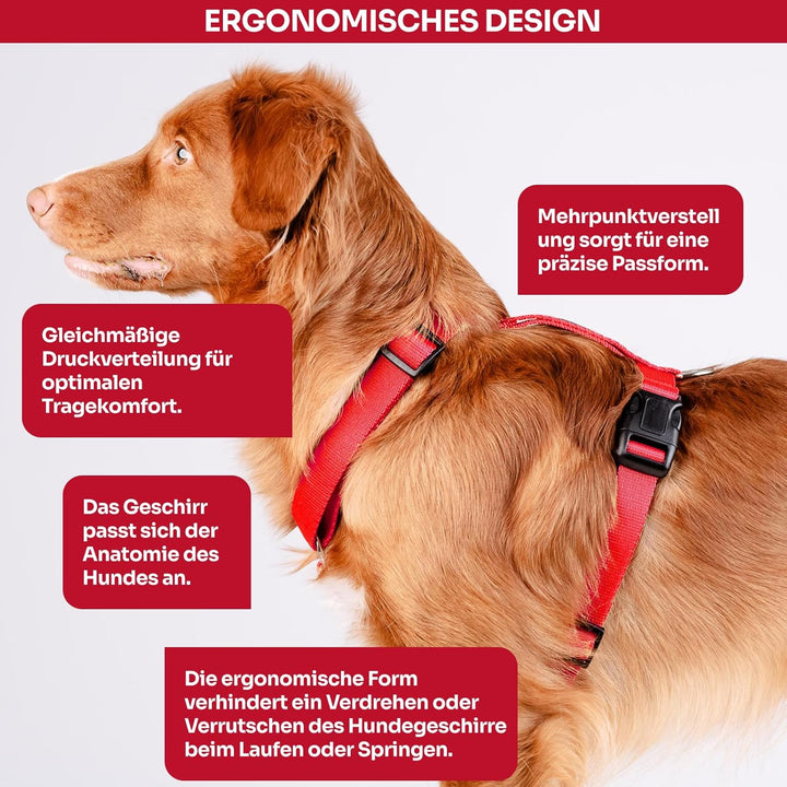 Chaba Guard Hundegeschirr für mittelgrosse Hunde mit Kontrolle, Anti-Zug & Würgen, Verstellbar, Komf