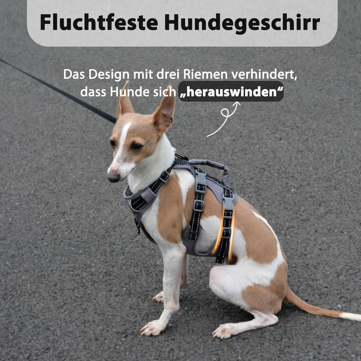 Huntboo Sicherheitsgeschirr Hund Ausbruchsicher, Panikgeschirr für Hunde, Reflektierendes Geschirr H