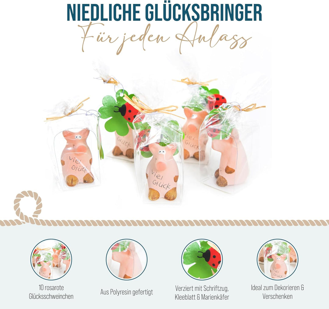 Logbuch-Verlag 10 Glücksschweinchen Viel Glück rosa Glücksschwein Glücksbringer 2024 Neujahr Silvest