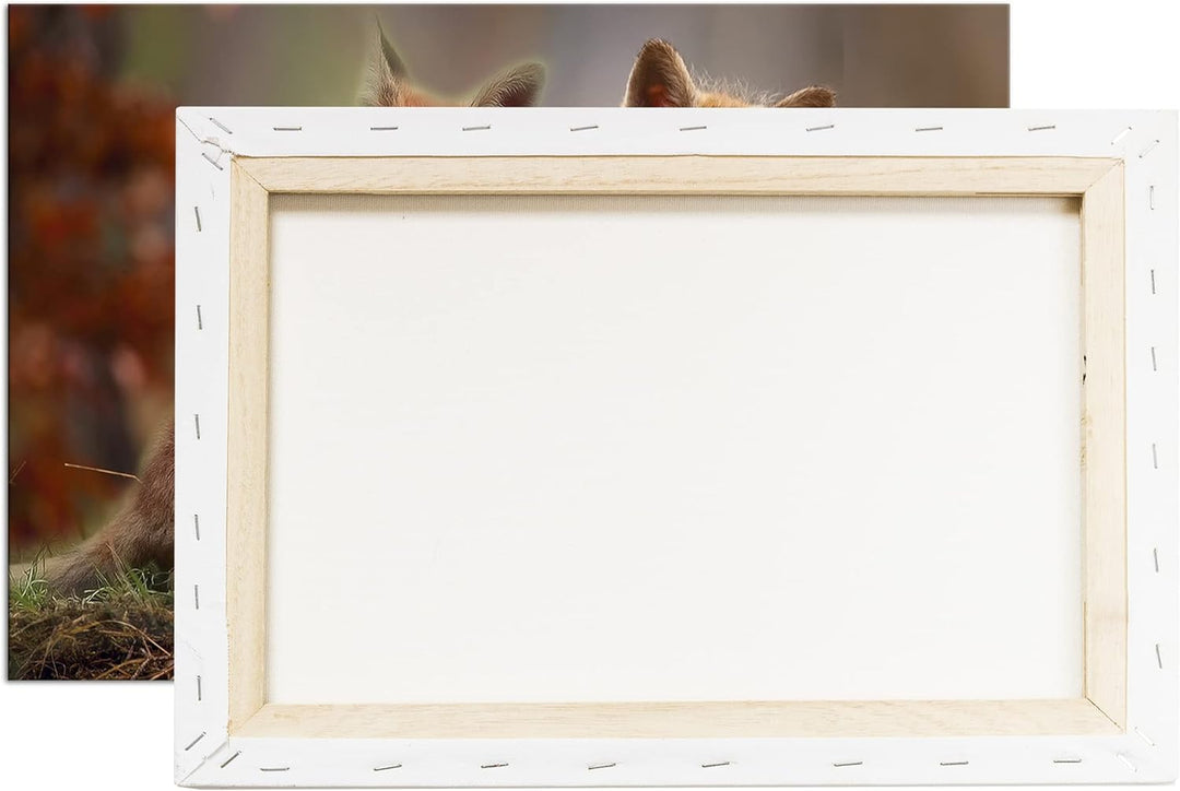 deyoli Kleine Familie von Rotfüchsen Format: 100x70 als Leinwand, Motiv fertig gerahmt auf Echtholzr