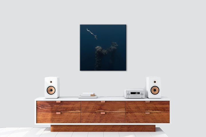 tiefer Tauchgang zum Meeresgrund Format: 60x60 als Leinwandbild, Motiv fertig gerahmt auf Echtholzra