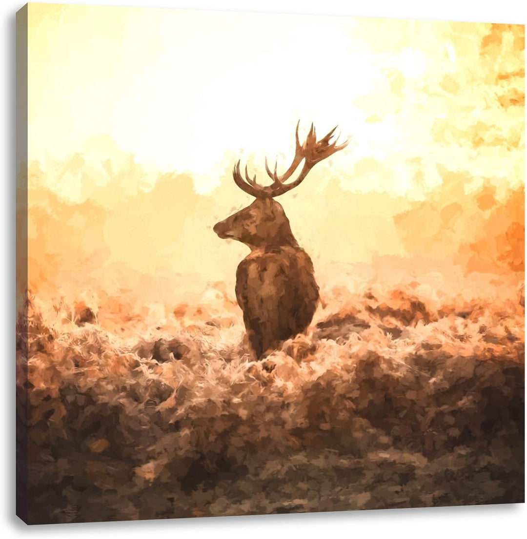 Pixxprint Stolzer Hirsch auf weitem Feld, Format: 70x70 auf Leinwand, 70x70