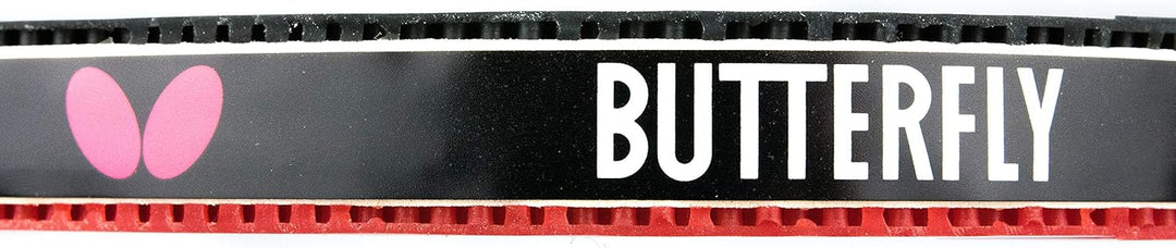 Butterfly Timo Boll Vision 3000