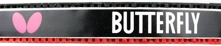 Butterfly Timo Boll Vision 3000