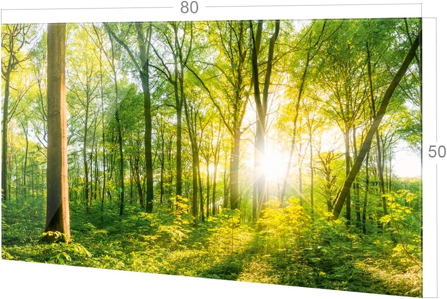 GRAZDesign Spritzschutz Küche Glas Wald, Lichtung, Bäume in Grün, Küchenrückwand Glas für Herd und S