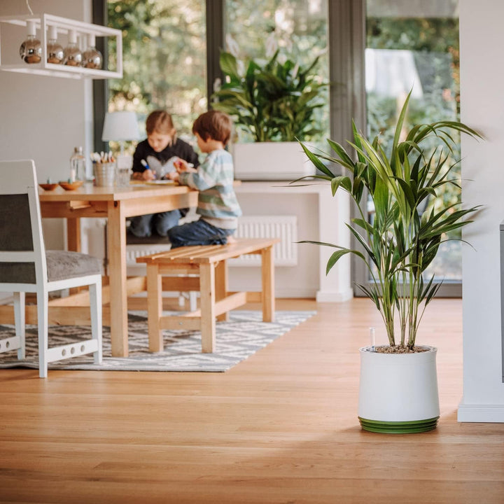 AIRY System M mit 6L Airy Base Substrat • Biologischer Luftreiniger filtert Schadstoffe, Allergene &