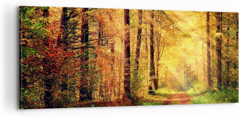 Panorama Bilder auf Leinwand 100x40cm Leinwandbild mit Rahmen Wald Baum Natur Gross Wanddeko Bild Sc