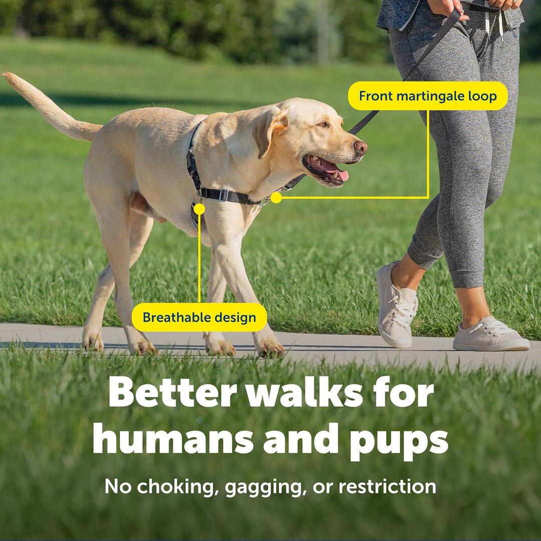 PetSafe Easy Walk Hundegeschirr, kein Ziehen, das ultimative Geschirr, um das Ziehen zu stoppen, übe