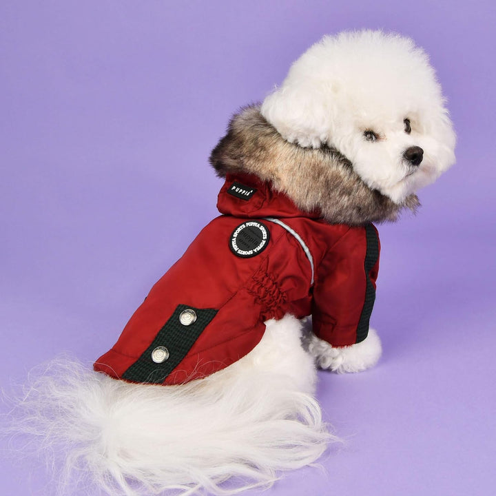 Puppia Brock – Rot – S S rot, S rot