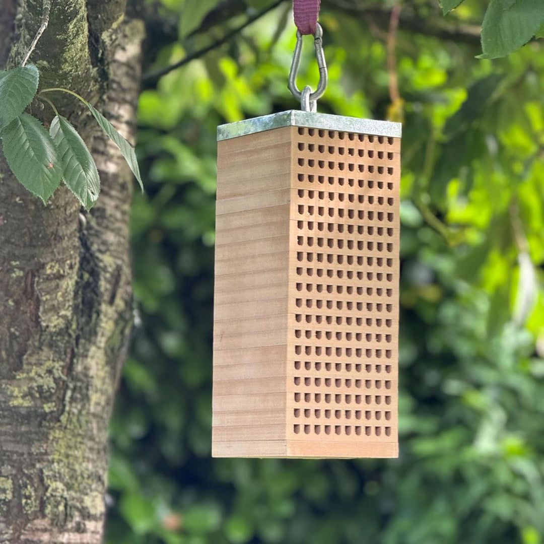 UNUS Bienenhotel Mauerbienen Holz mit 200 Löchern Zinkdach
