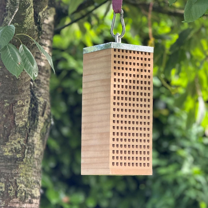 UNUS Bienenhotel Mauerbienen Holz mit 200 Löchern Zinkdach
