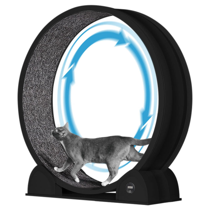 Katzenlaufrad, 114cm Laufrad mit Schrittzähler &amp; Kratzbrett für Indoor-Katze, Super Leise Laufband m