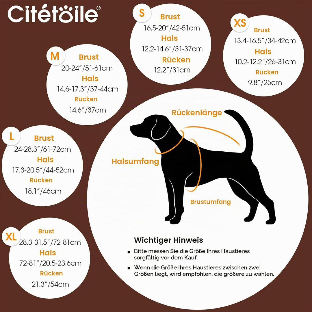 CITÉTOILE Wasserdicht Hundemantel, Warme Wintermantel Winterjacken mit Fleece für Kleine/Grosse/Mitt