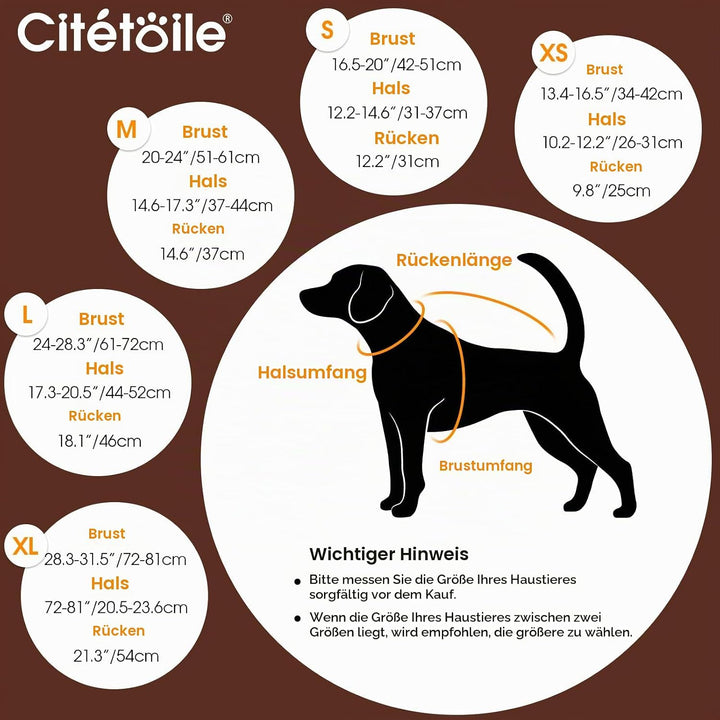 CITÉTOILE Wasserdicht Hundemantel, Warme Wintermantel Winterjacken mit Fleece für Kleine/Grosse/Mitt