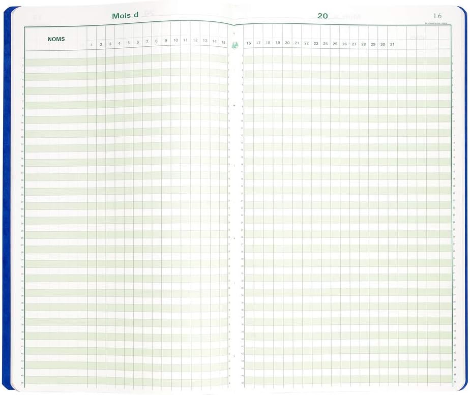 Piqure 40x24cm - Pointage 46 Lignes 80pages