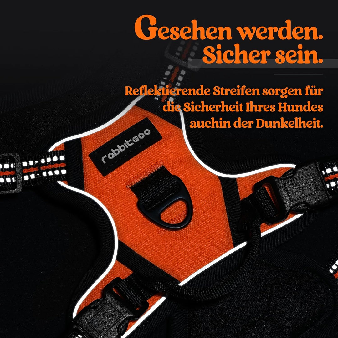 rabbitgoo Hundegeschirr Kleine Hunde, Anti Zug Geschirr mit Kontrolle, No Pull Verstellbar Hundegesc